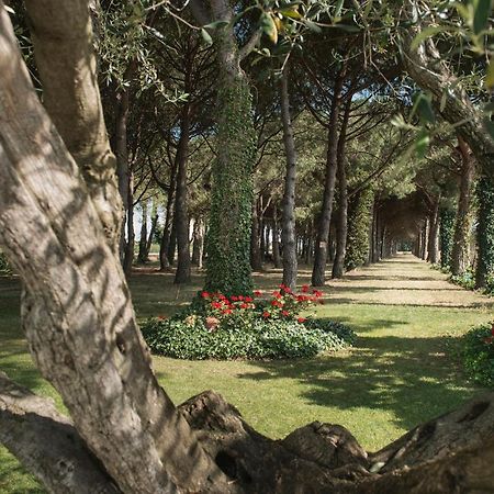 Hotel El Moli Sant Pere Pescador Dış mekan fotoğraf