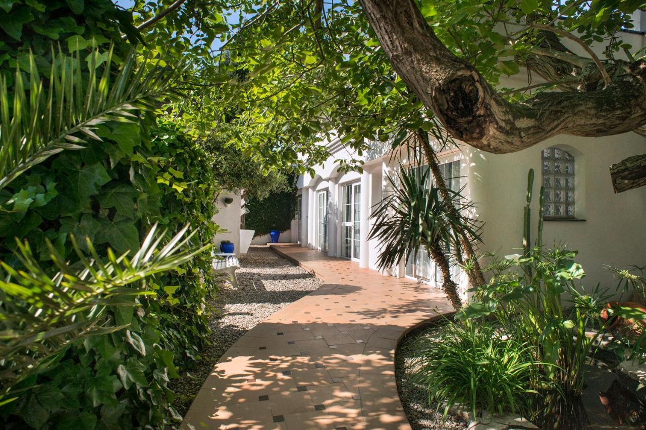 Hotel El Moli Sant Pere Pescador Dış mekan fotoğraf