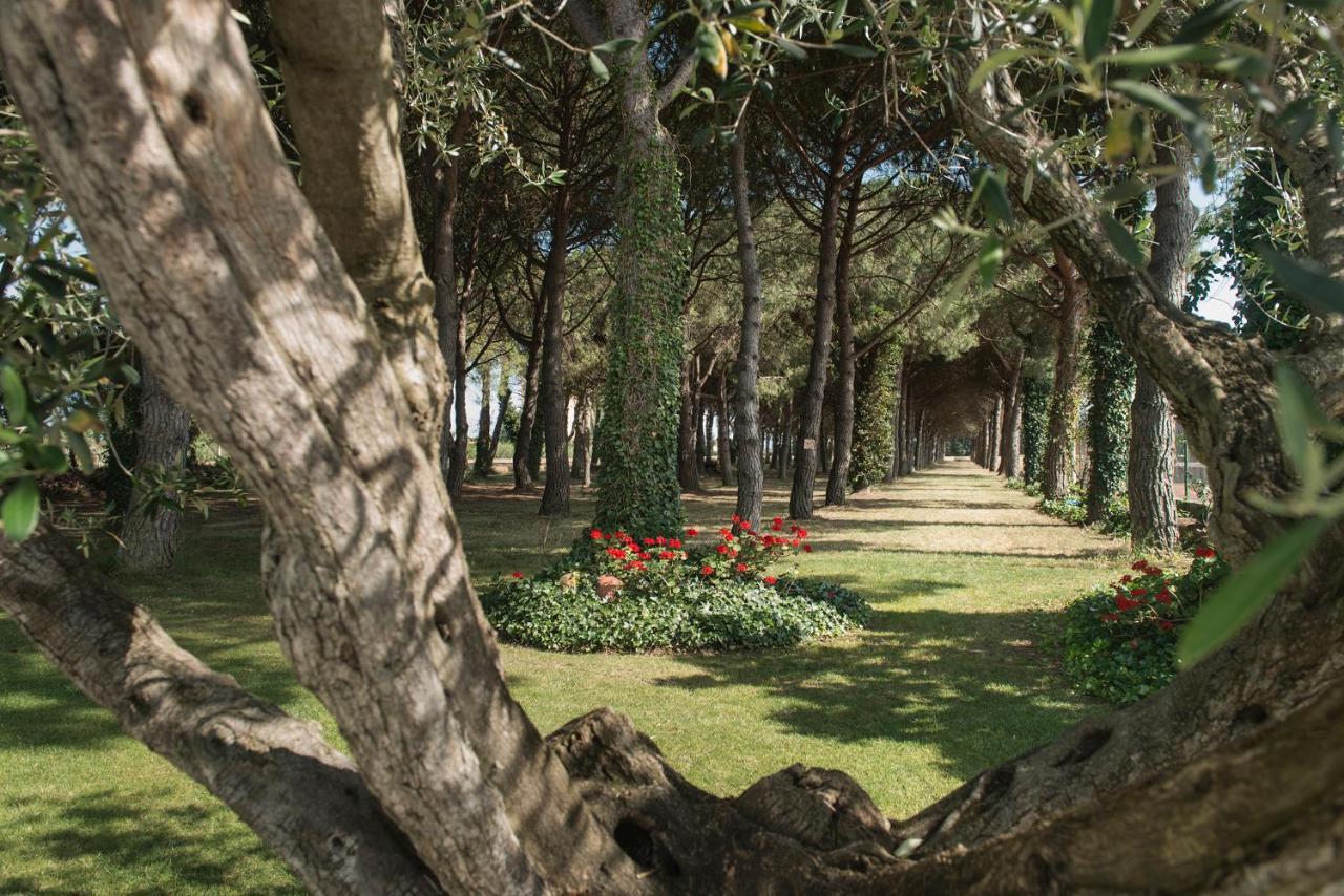 Hotel El Moli Sant Pere Pescador Dış mekan fotoğraf