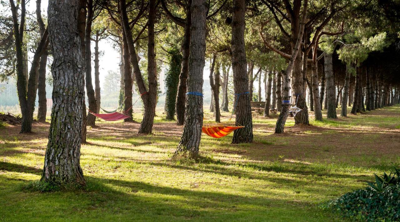 Hotel El Moli Sant Pere Pescador Dış mekan fotoğraf